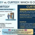 Curtesy or Courtesy: Which Is Correct