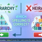 Hierarchy vs Heirarchy: Which Spelling Is Correct?