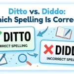 Ditto vs Diddo: Which Spelling Is Correct?